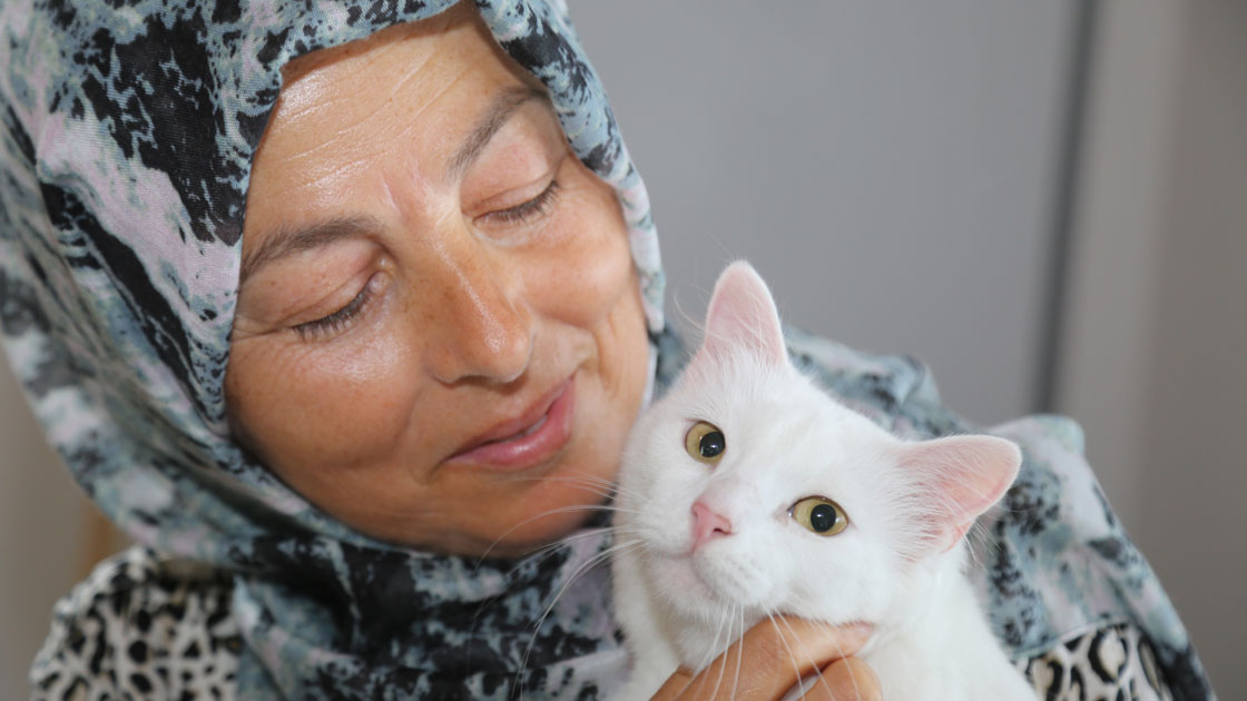 Felçli kedi Pamuk, Hülya öğretmen ile hayata tutundu