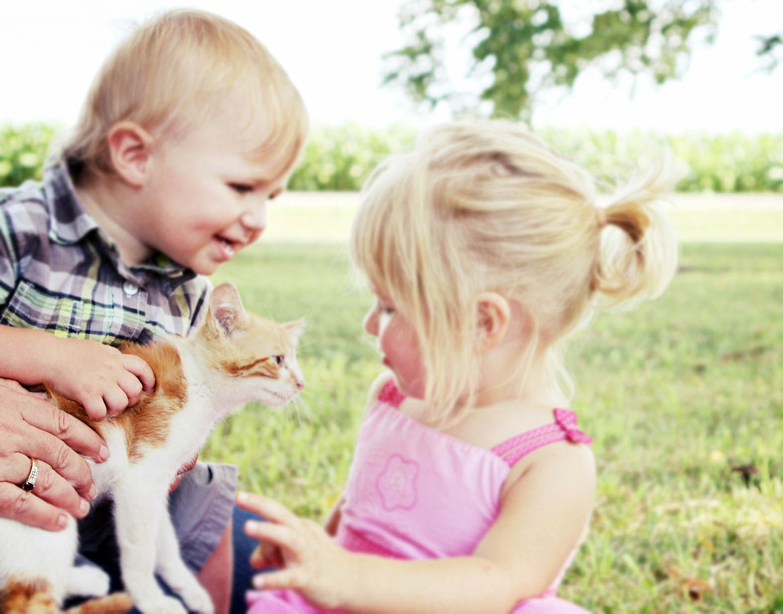 5 Maddeyle Çocukların Evcil Hayvanlarla Yaşamalarının Faydaları