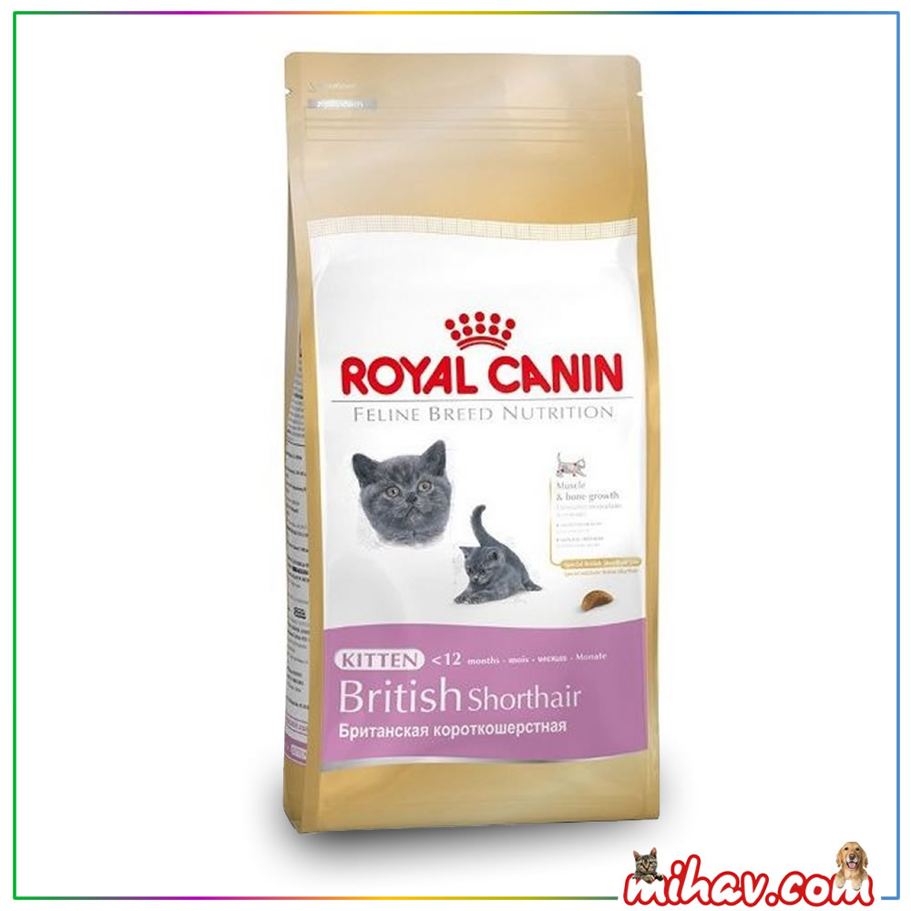 Royal Canin Yavru British Shorthair Kedi Maması 2 Kg